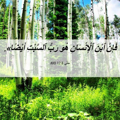 Picture 06 - مَتَّى 12:8 AVD - فَإِنَّ ٱبْنَ - Bible Verse Picture