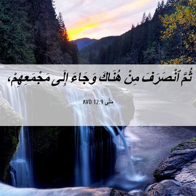 Picture 06 - مَتَّى 12:9 AVD - ثُمَّ ٱنْصَرَفَ مِنْ - Bible Verse Picture