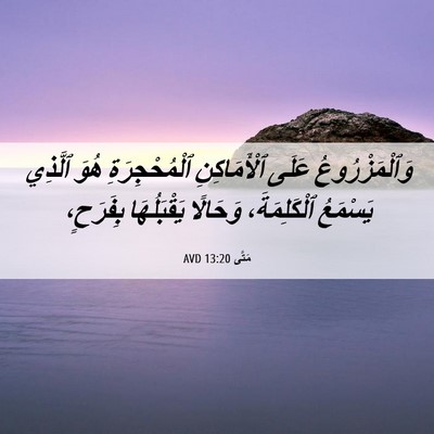 Picture 06 - مَتَّى 13:20 AVD - وَٱلْمَزْرُوعُ عَلَى - Bible Verse Picture