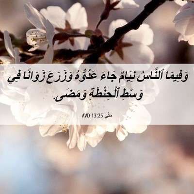 Picture 06 - مَتَّى 13:25 AVD - وَفِيمَا ٱلنَّاسُ نِيَامٌ - Bible Verse Picture