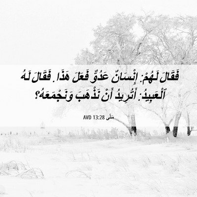 Picture 06 - مَتَّى 13:28 AVD - فَقَالَ لَهُمْ: إِنْسَانٌ - Bible Verse Picture