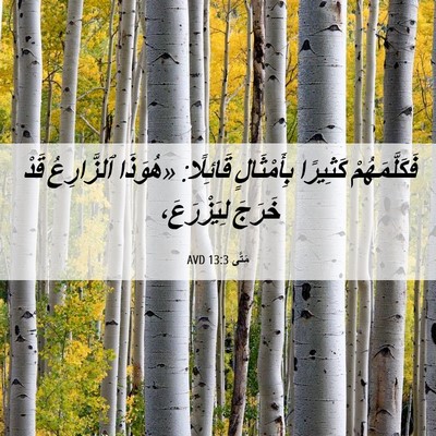 Picture 06 - مَتَّى 13:3 AVD - فَكَلَّمَهُمْ كَثِيرًا - Bible Verse Picture