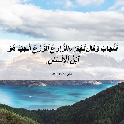 Picture 06 - مَتَّى 13:37 AVD - فَأَجَابَ وَقَالَ لَهُمْ: - Bible Verse Picture