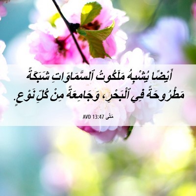Picture 06 - مَتَّى 13:47 AVD - أَيْضًا يُشْبِهُ - Bible Verse Picture