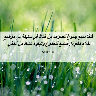 Picture 06 - مَتَّى 14:13 AVD - فَلَمَّا سَمِعَ يَسُوعُ - Bible Verse Picture