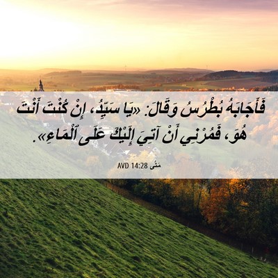 Picture 06 - مَتَّى 14:28 AVD - فَأَجَابَهُ بُطْرُسُ - Bible Verse Picture