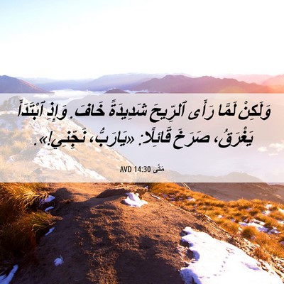 Picture 06 - مَتَّى 14:30 AVD - وَلَكِنْ لَمَّا رَأَى - Bible Verse Picture