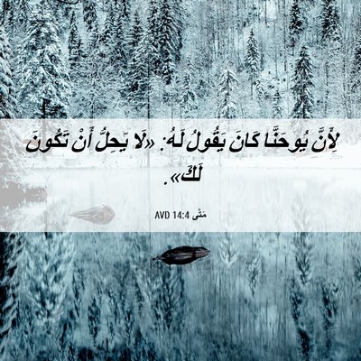 Picture 06 - مَتَّى 14:4 AVD - لِأَنَّ يُوحَنَّا كَانَ - Bible Verse Picture