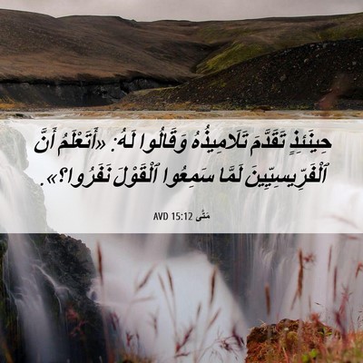 Picture 06 - مَتَّى 15:12 AVD - حِينَئِذٍ تَقَدَّمَ - Bible Verse Picture