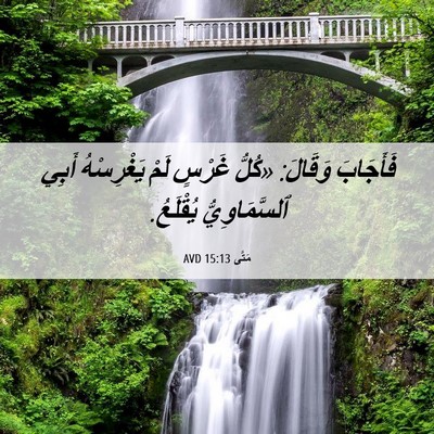Picture 06 - مَتَّى 15:13 AVD - فَأَجَابَ وَقَالَ: «كُلُّ - Bible Verse Picture