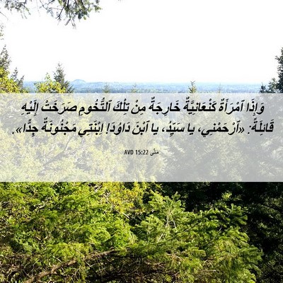 Picture 06 - مَتَّى 15:22 AVD - وَإِذَا ٱمْرَأَةٌ - Bible Verse Picture