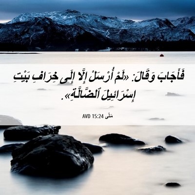 Picture 06 - مَتَّى 15:24 AVD - فَأَجَابَ وَقَالَ: «لَمْ - Bible Verse Picture