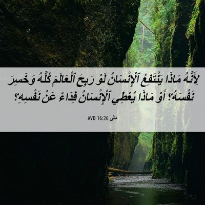 Picture 06 - مَتَّى 16:26 AVD - لِأَنَّهُ مَاذَا - Bible Verse Picture