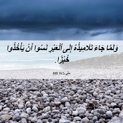 Picture 06 - مَتَّى 16:5 AVD - وَلَمَّا جَاءَ - Bible Verse Picture