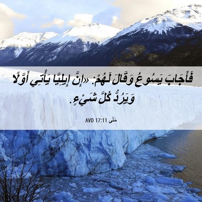 Picture 06 - مَتَّى 17:11 AVD - فَأَجَابَ يَسُوعُ وَقَالَ - Bible Verse Picture