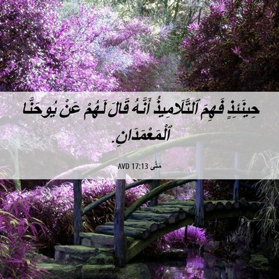 Picture 06 - مَتَّى 17:13 AVD - حِينَئِذٍ فَهِمَ - Bible Verse Picture