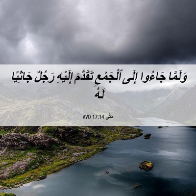Picture 06 - مَتَّى 17:14 AVD - وَلَمَّا جَاءُوا إِلَى - Bible Verse Picture