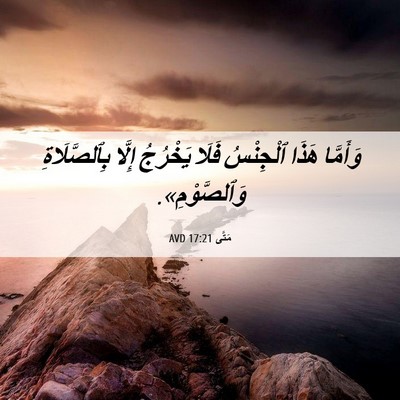 Picture 06 - مَتَّى 17:21 AVD - وَأَمَّا هَذَا ٱلْجِنْسُ - Bible Verse Picture