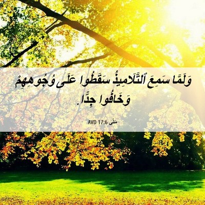Picture 06 - مَتَّى 17:6 AVD - وَلَمَّا سَمِعَ - Bible Verse Picture