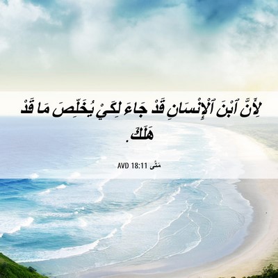 Picture 06 - مَتَّى 18:11 AVD - لِأَنَّ ٱبْنَ - Bible Verse Picture