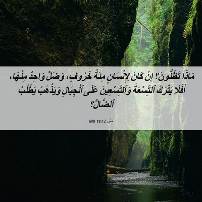 Picture 06 - مَتَّى 18:12 AVD - مَاذَا تَظُنُّونَ؟ إِنْ - Bible Verse Picture