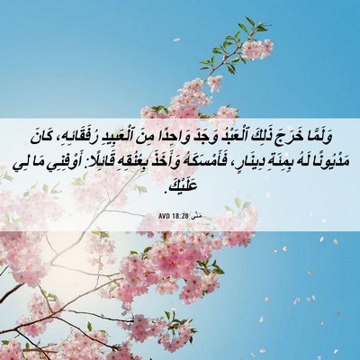 Picture 06 - مَتَّى 18:28 AVD - وَلَمَّا خَرَجَ ذَلِكَ - Bible Verse Picture