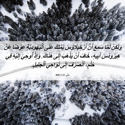 Picture 06 - مَتَّى 2:22 AVD - وَلَكِنْ لَمَّا سَمِعَ - Bible Verse Picture