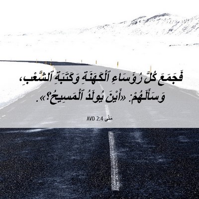 Picture 06 - مَتَّى 2:4 AVD - فَجَمَعَ كُلَّ رُؤَسَاءِ - Bible Verse Picture