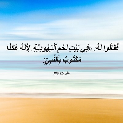 Picture 06 - مَتَّى 2:5 AVD - فَقَالُوا لَهُ: «فِي - Bible Verse Picture