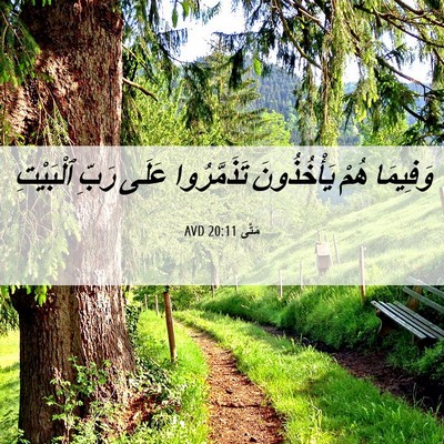 Picture 06 - مَتَّى 20:11 AVD - وَفِيمَا هُمْ يَأْخُذُونَ - Bible Verse Picture