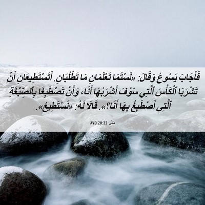 Picture 06 - مَتَّى 20:22 AVD - فَأَجَابَ يَسُوعُ وَقَالَ: - Bible Verse Picture