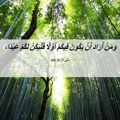 Picture 06 - مَتَّى 20:27 AVD - وَمَنْ أَرَادَ أَنْ - Bible Verse Picture