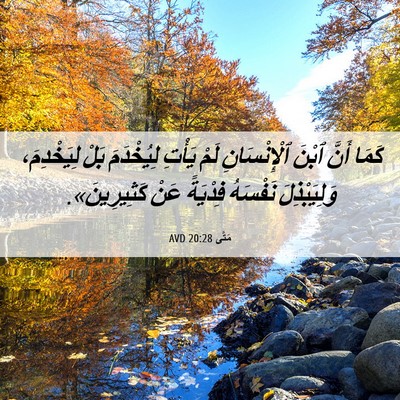 Picture 06 - مَتَّى 20:28 AVD - كَمَا أَنَّ ٱبْنَ - Bible Verse Picture