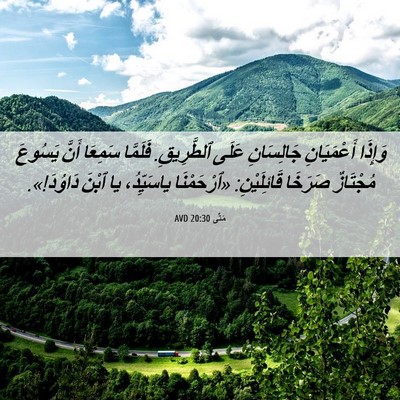 Picture 06 - مَتَّى 20:30 AVD - وَإِذَا أَعْمَيَانِ - Bible Verse Picture