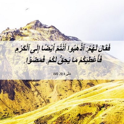 Picture 06 - مَتَّى 20:4 AVD - فَقَالَ لَهُمُ: ٱذْهَبُوا - Bible Verse Picture