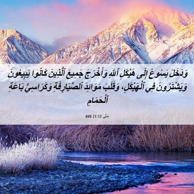 Picture 06 - مَتَّى 21:12 AVD - وَدَخَلَ يَسُوعُ إِلَى - Bible Verse Picture
