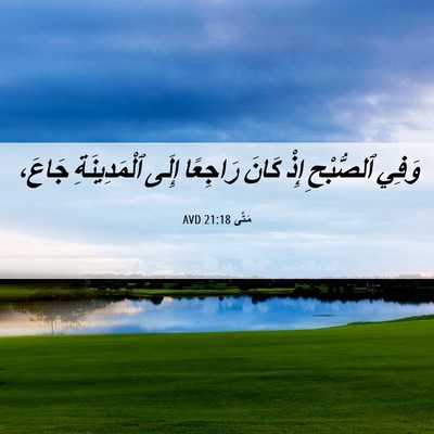 Picture 06 - مَتَّى 21:18 AVD - وَفِي ٱلصُّبْحِ إِذْ كَانَ - Bible Verse Picture