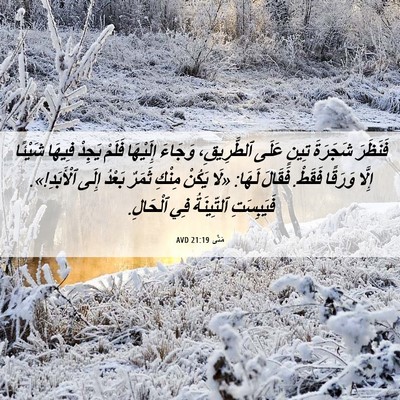 Picture 06 - مَتَّى 21:19 AVD - فَنَظَرَ شَجَرَةَ تِينٍ - Bible Verse Picture