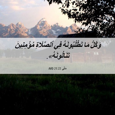 Picture 06 - مَتَّى 21:22 AVD - وَكُلُّ مَا تَطْلُبُونَهُ - Bible Verse Picture