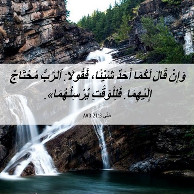 Picture 06 - مَتَّى 21:3 AVD - وَإِنْ قَالَ لَكُمَا - Bible Verse Picture