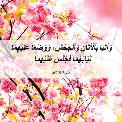 Picture 06 - مَتَّى 21:7 AVD - وَأَتَيَا بِٱلْأَتَانِ - Bible Verse Picture
