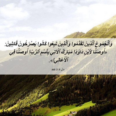 Picture 06 - مَتَّى 21:9 AVD - وَٱلْجُمُوعُ ٱلَّذِينَ - Bible Verse Picture