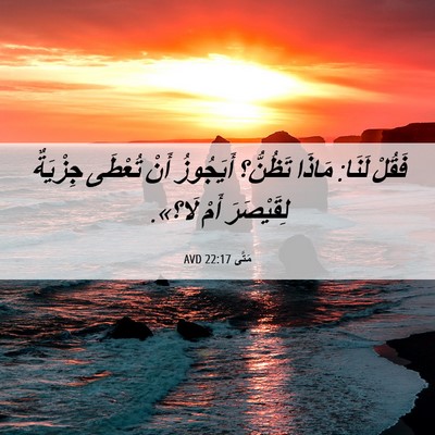Picture 06 - مَتَّى 22:17 AVD - فَقُلْ لَنَا: مَاذَا - Bible Verse Picture