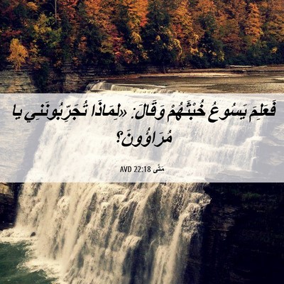 Picture 06 - مَتَّى 22:18 AVD - فَعَلِمَ يَسُوعُ - Bible Verse Picture