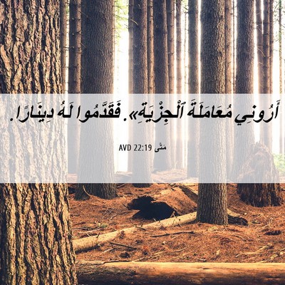 Picture 06 - مَتَّى 22:19 AVD - أَرُونِي مُعَامَلَةَ - Bible Verse Picture