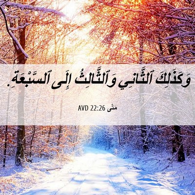 Picture 06 - مَتَّى 22:26 AVD - وَكَذَلِكَ ٱلثَّانِي - Bible Verse Picture