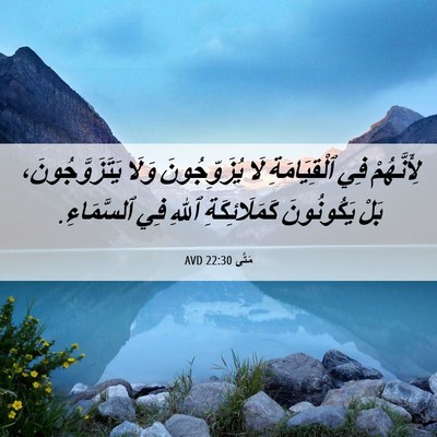 Picture 06 - مَتَّى 22:30 AVD - لِأَنَّهُمْ فِي - Bible Verse Picture