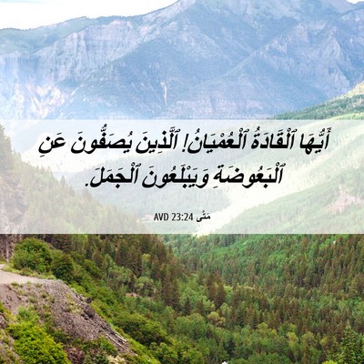 Picture 06 - مَتَّى 23:24 AVD - أَيُّهَا ٱلْقَادَةُ - Bible Verse Picture