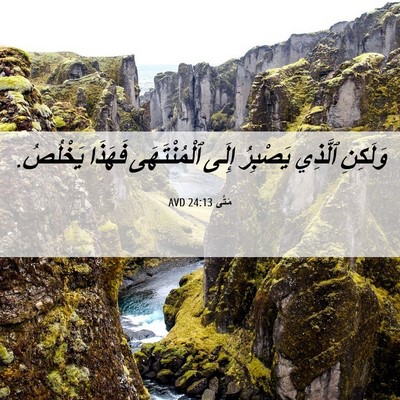 Picture 06 - مَتَّى 24:13 AVD - وَلَكِنِ ٱلَّذِي يَصْبِرُ - Bible Verse Picture