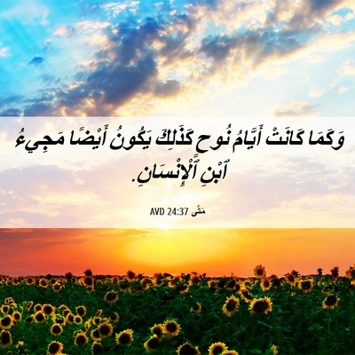 Picture 06 - مَتَّى 24:37 AVD - وَكَمَا كَانَتْ أَيَّامُ - Bible Verse Picture